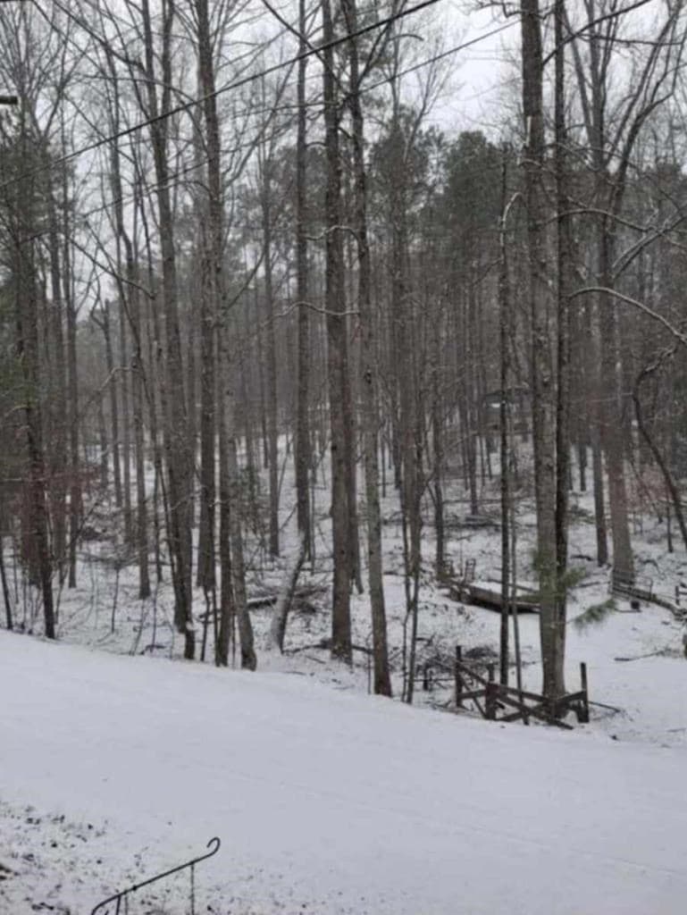 263 17th Street, Ellijay GA 30540 - Photo