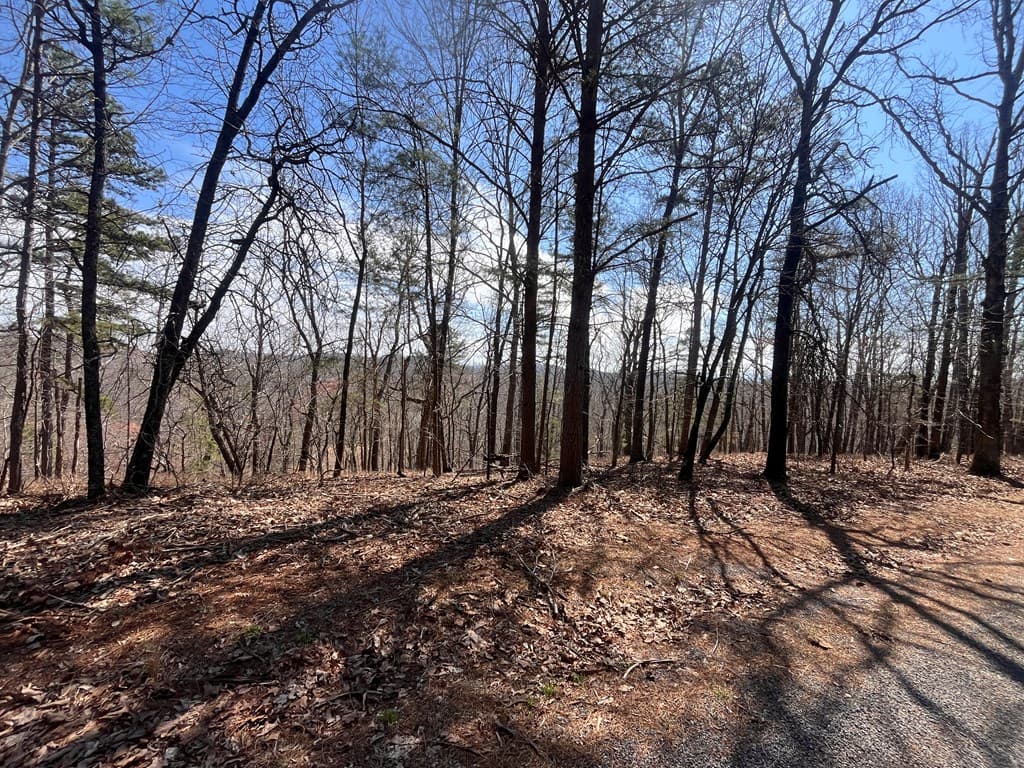 Lt 156 Drena Drive, Ellijay GA 30540 - Photo