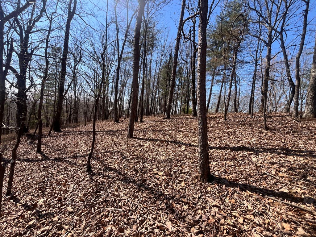 Lt 156 Drena Drive, Ellijay GA 30540 - Photo