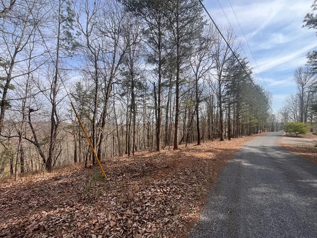 Lt 156 Drena Drive, Ellijay GA 30540 - Photo