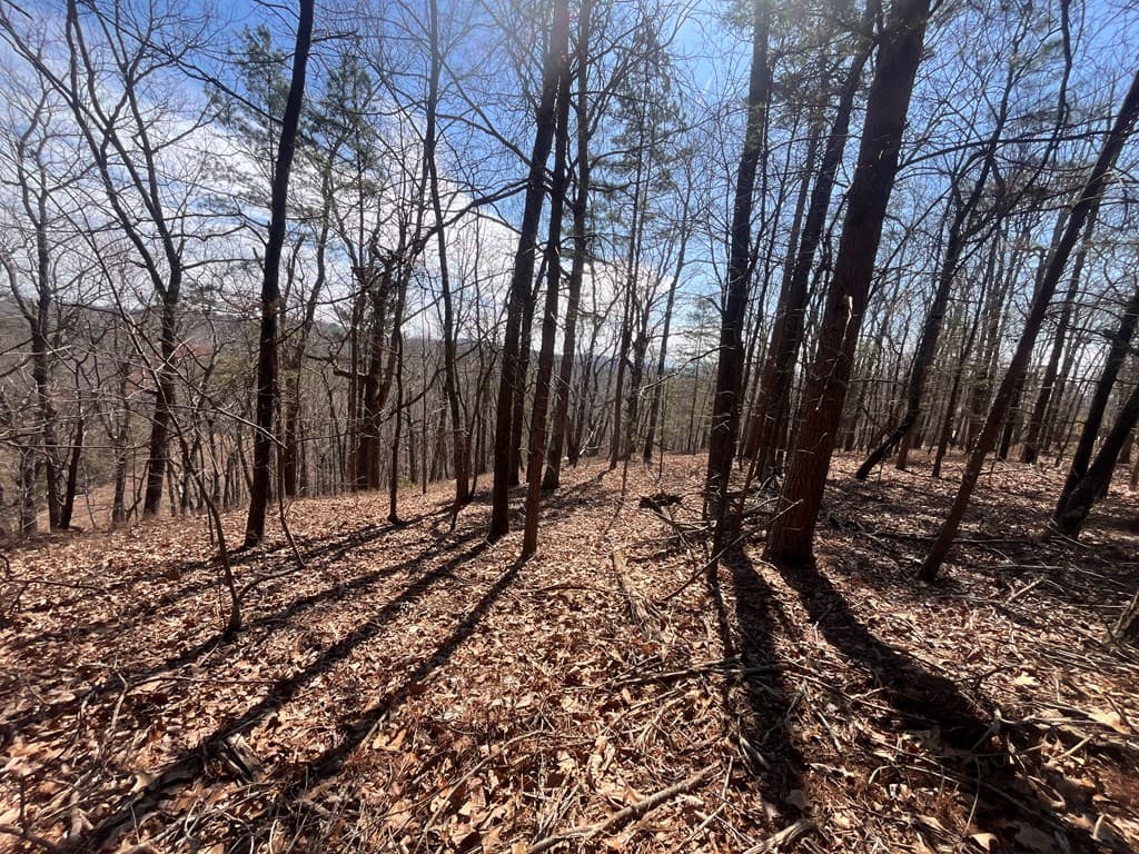 Lt 156 Drena Drive, Ellijay GA 30540 - Photo