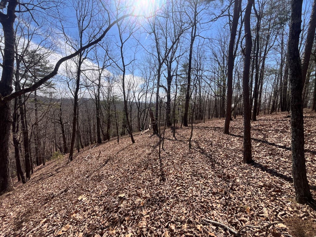 Lt 156 Drena Drive, Ellijay GA 30540 - Photo