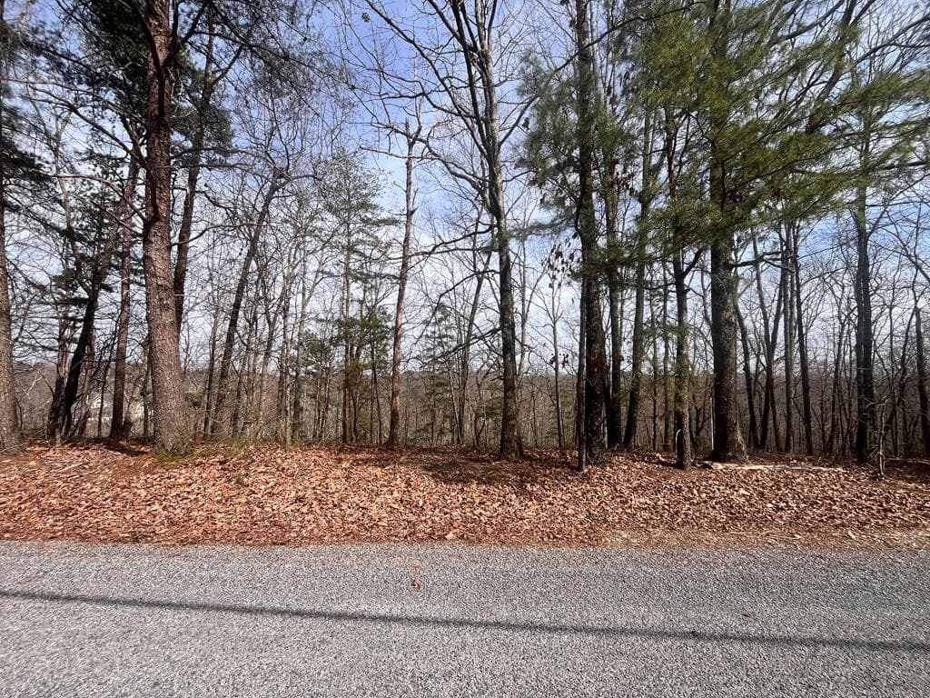 Lt 156 Drena Drive, Ellijay GA 30540 - Photo