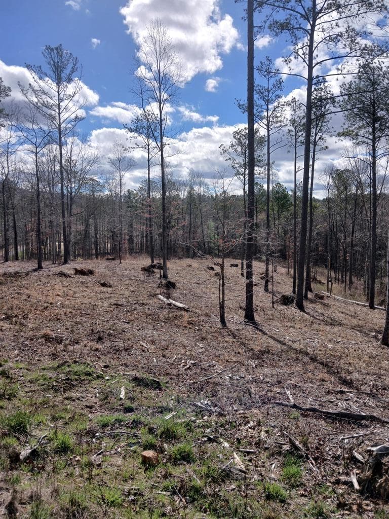 Lot 337 Timber Creek Trail, Talking Rock GA 30175 - Photo