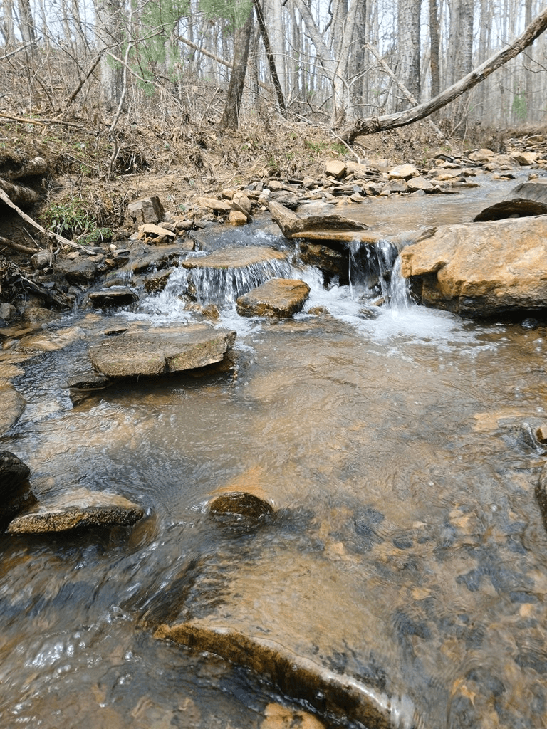 Lot 337 Timber Creek Trail, Talking Rock GA 30175 - Photo