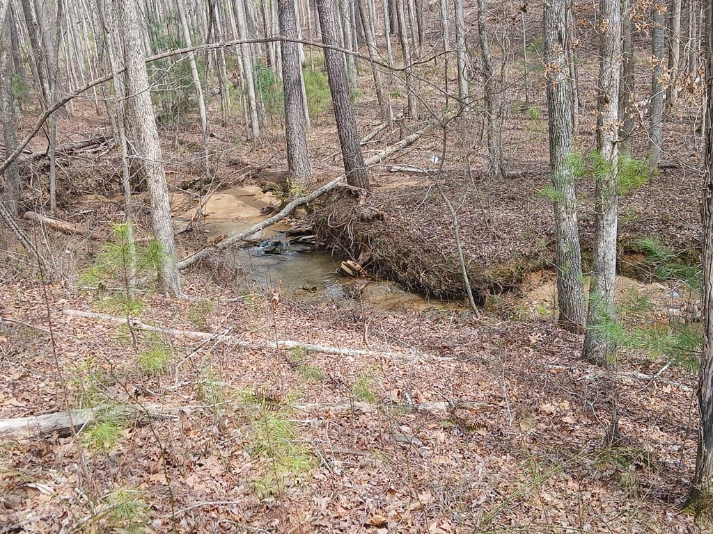 Lot 337 Timber Creek Trail, Talking Rock GA 30175 - Photo
