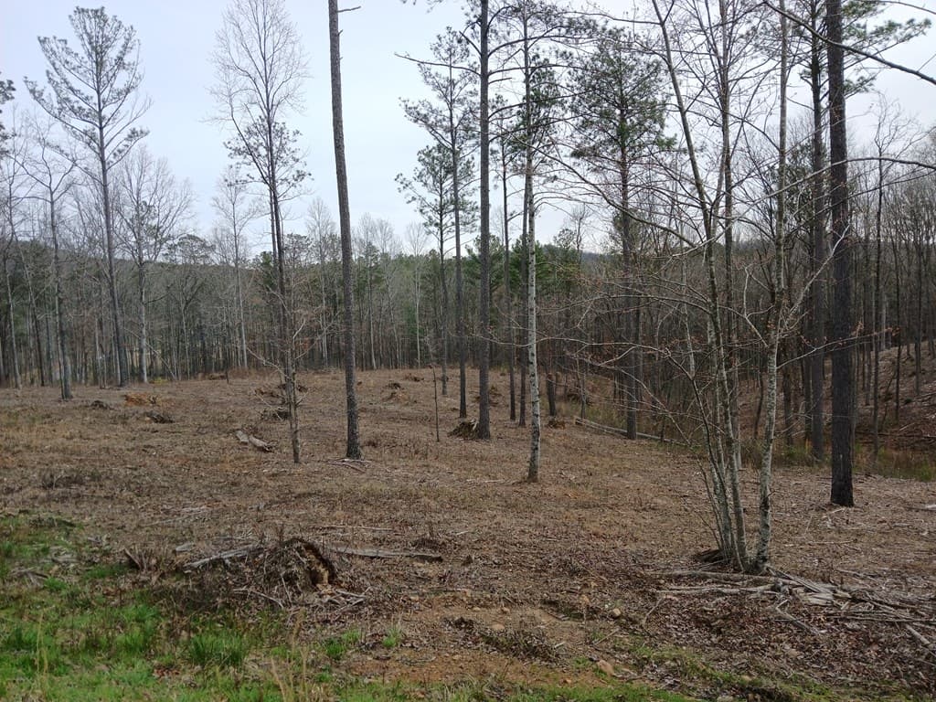 Lot 337 Timber Creek Trail, Talking Rock GA 30175 - Photo