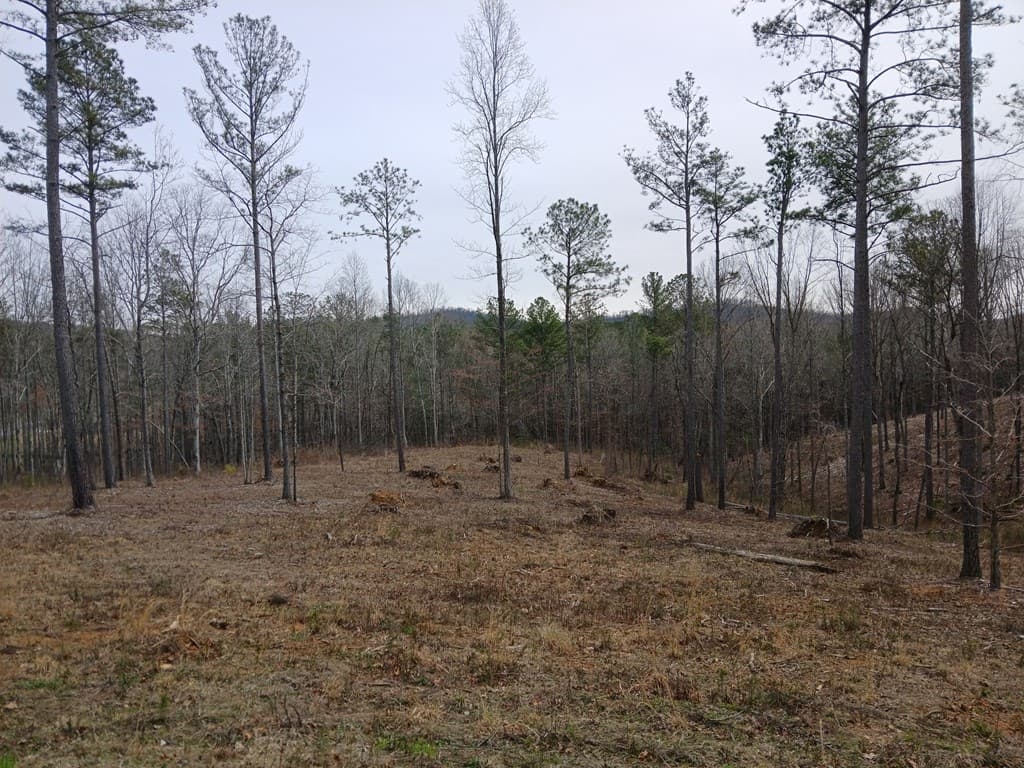 Lot 337 Timber Creek Trail, Talking Rock GA 30175 - Photo