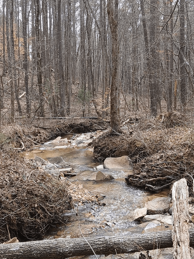 Lot 337 Timber Creek Trail, Talking Rock GA 30175 - Photo