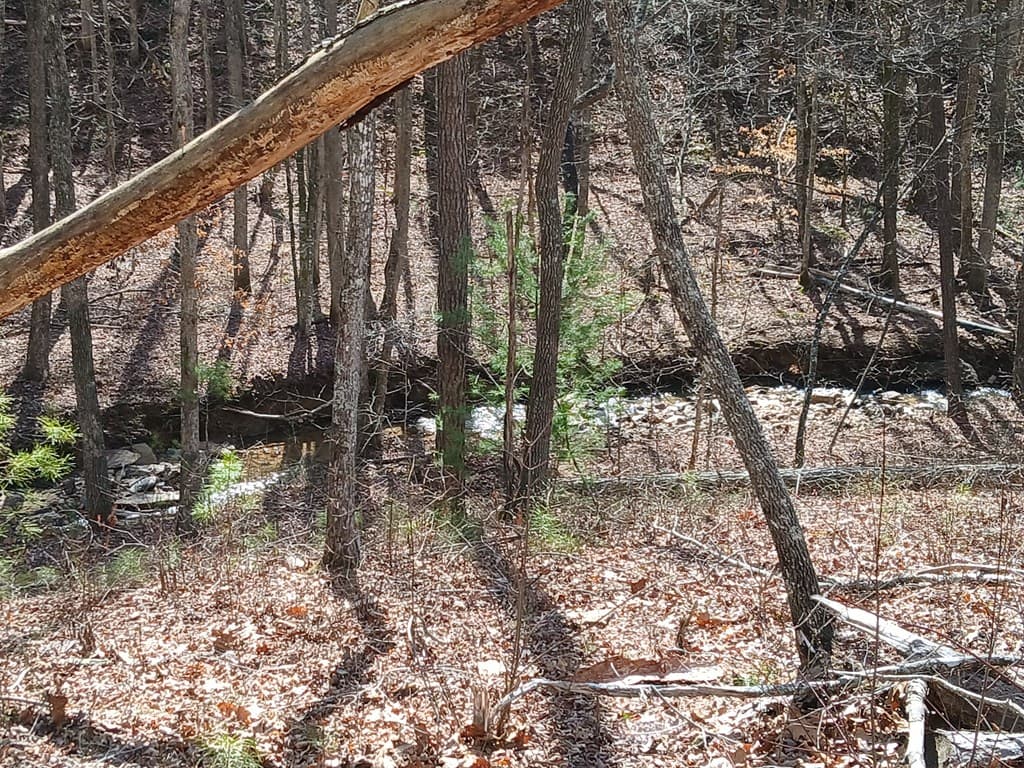 Lot 337 Timber Creek Trail, Talking Rock GA 30175 - Photo