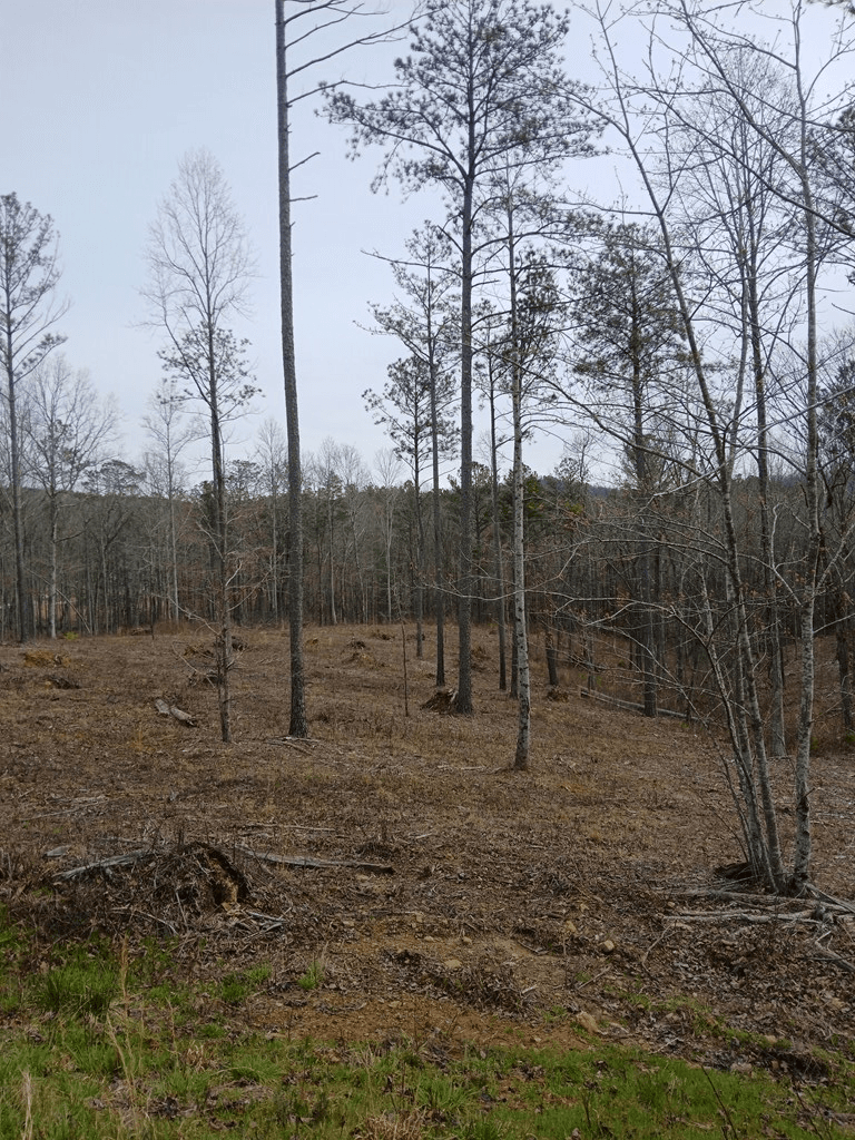 Lot 337 Timber Creek Trail, Talking Rock GA 30175 - Photo