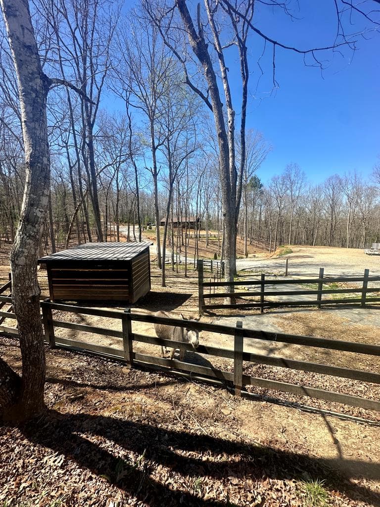 554 Tipton Springs Road, Morganton GA 30560 - Photo