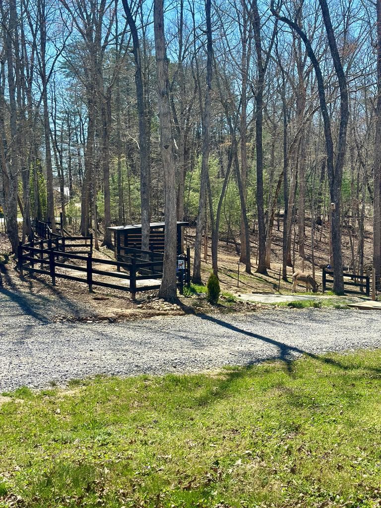 554 Tipton Springs Road, Morganton GA 30560 - Photo
