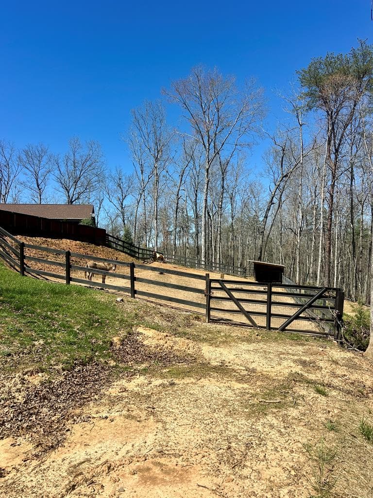 554 Tipton Springs Road, Morganton GA 30560 - Photo
