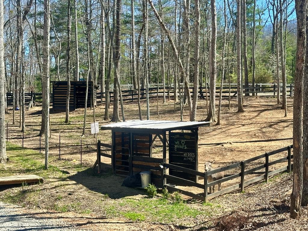 554 Tipton Springs Road, Morganton GA 30560 - Photo