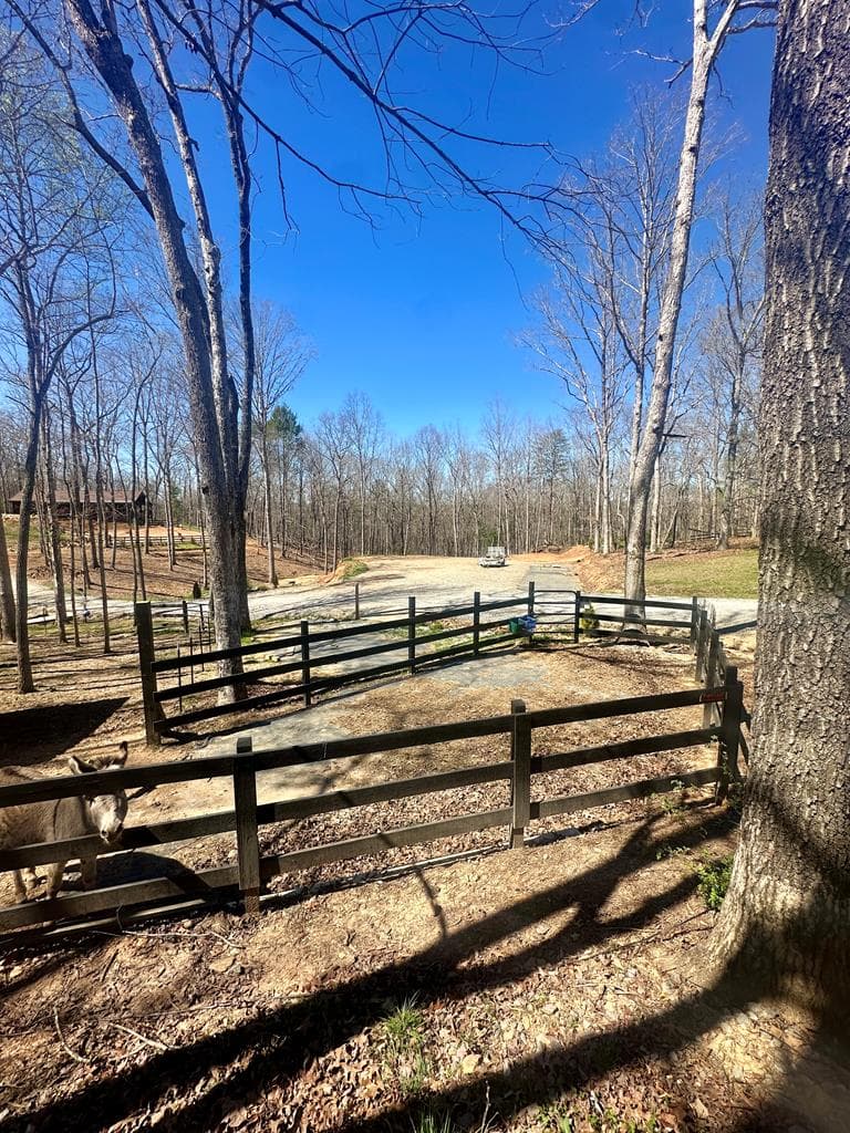 554 Tipton Springs Road, Morganton GA 30560 - Photo