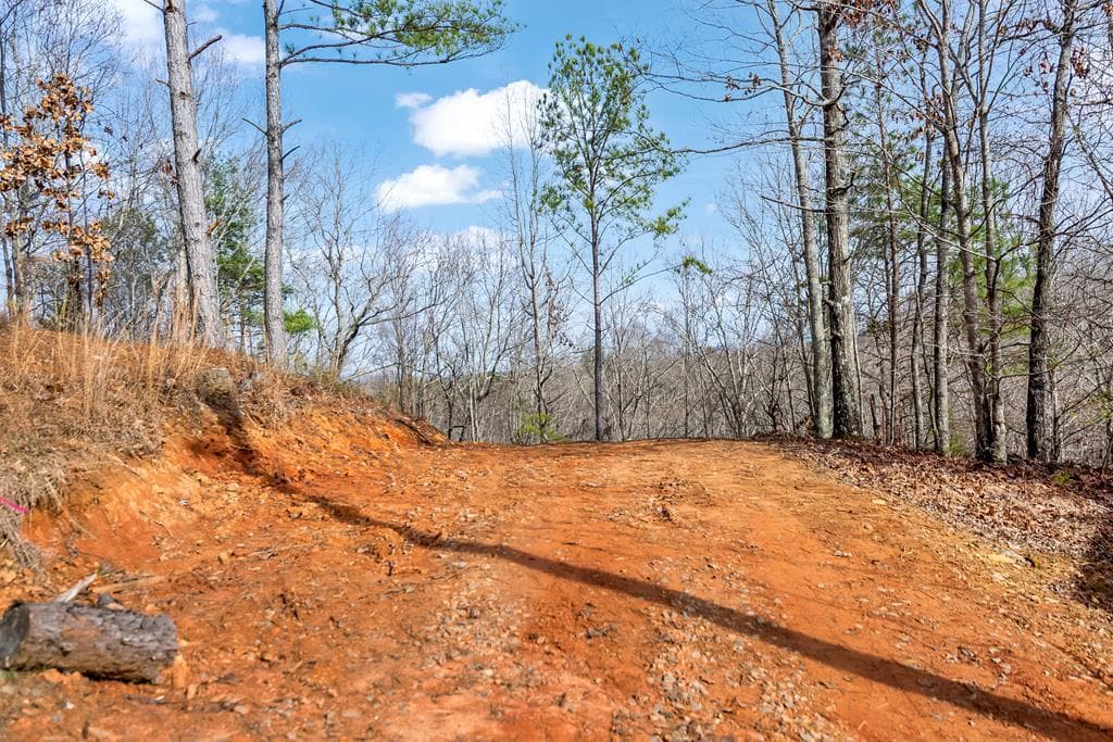 30 William Way, Ellijay GA 30540 - Photo