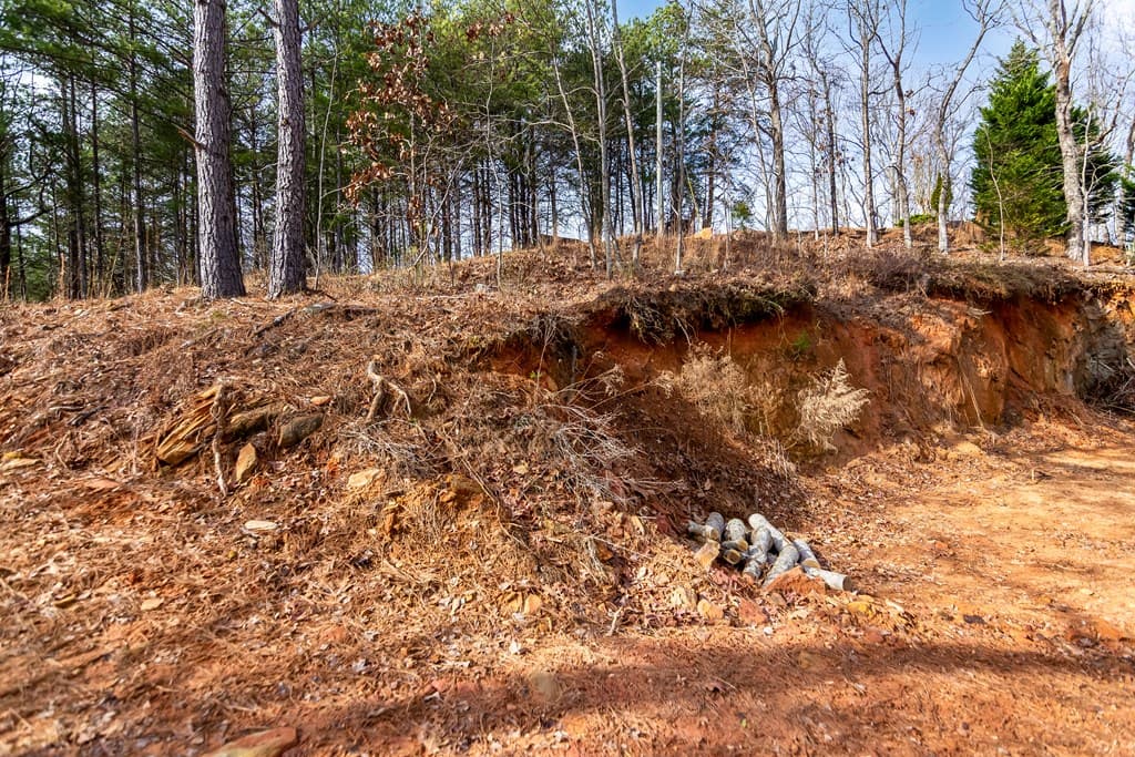 30 William Way, Ellijay GA 30540 - Photo