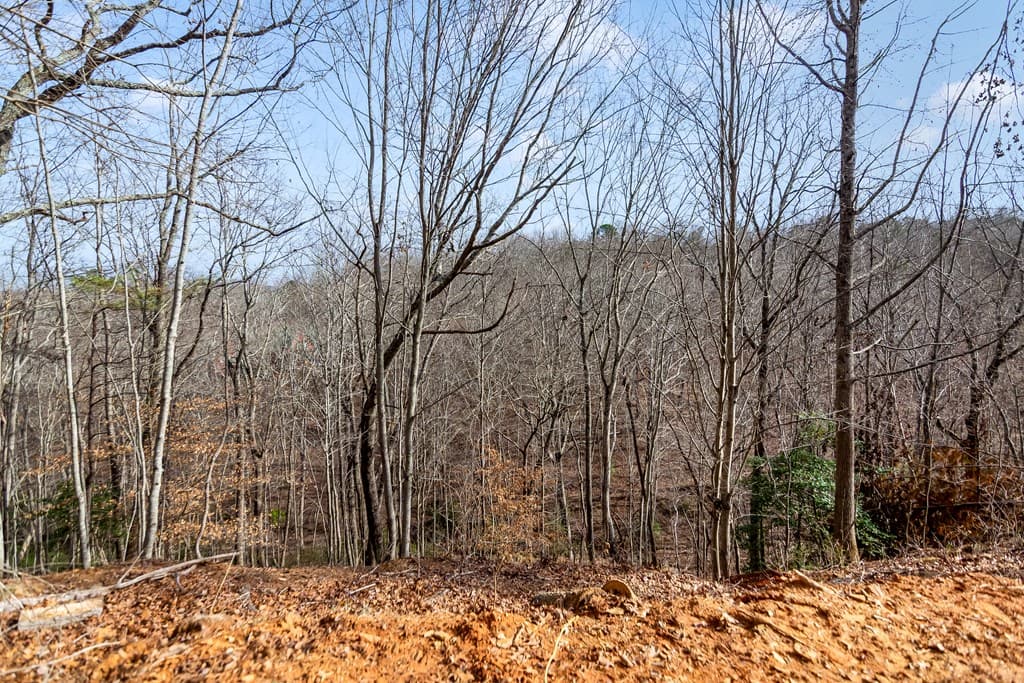 30 William Way, Ellijay GA 30540 - Photo