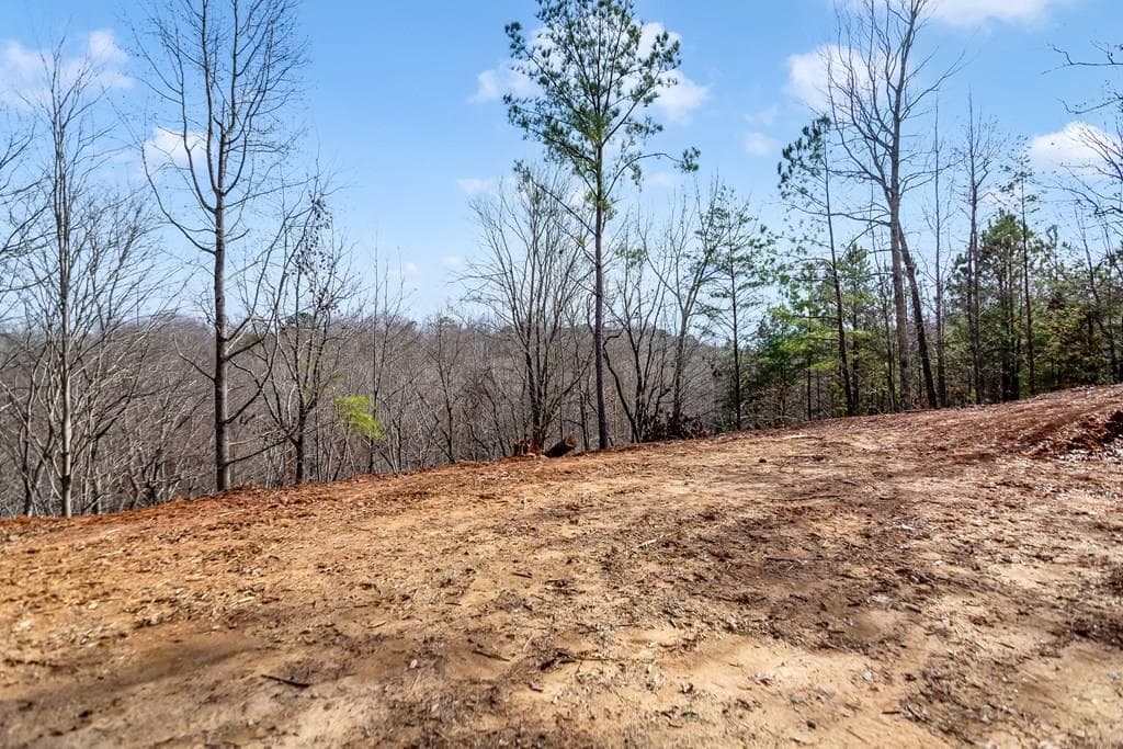 30 William Way, Ellijay GA 30540 - Primary photo