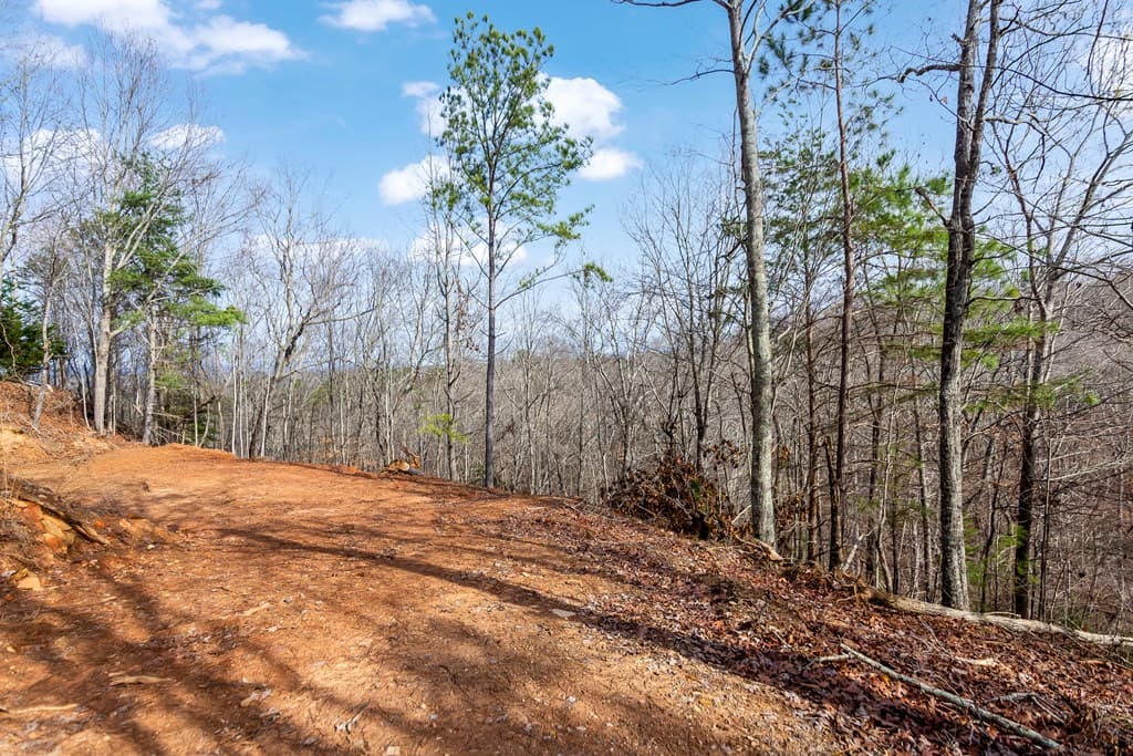 30 William Way, Ellijay GA 30540 - Photo