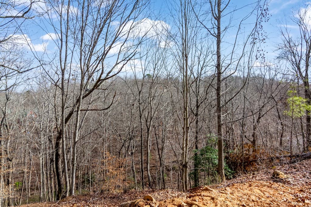 30 William Way, Ellijay GA 30540 - Photo