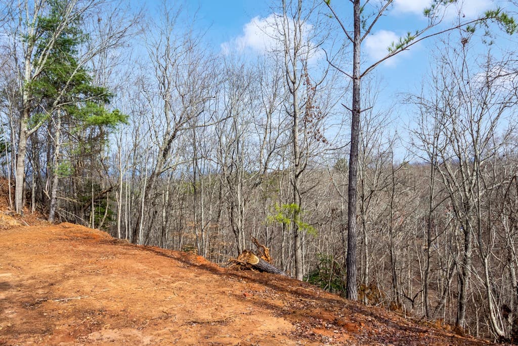 30 William Way, Ellijay GA 30540 - Photo