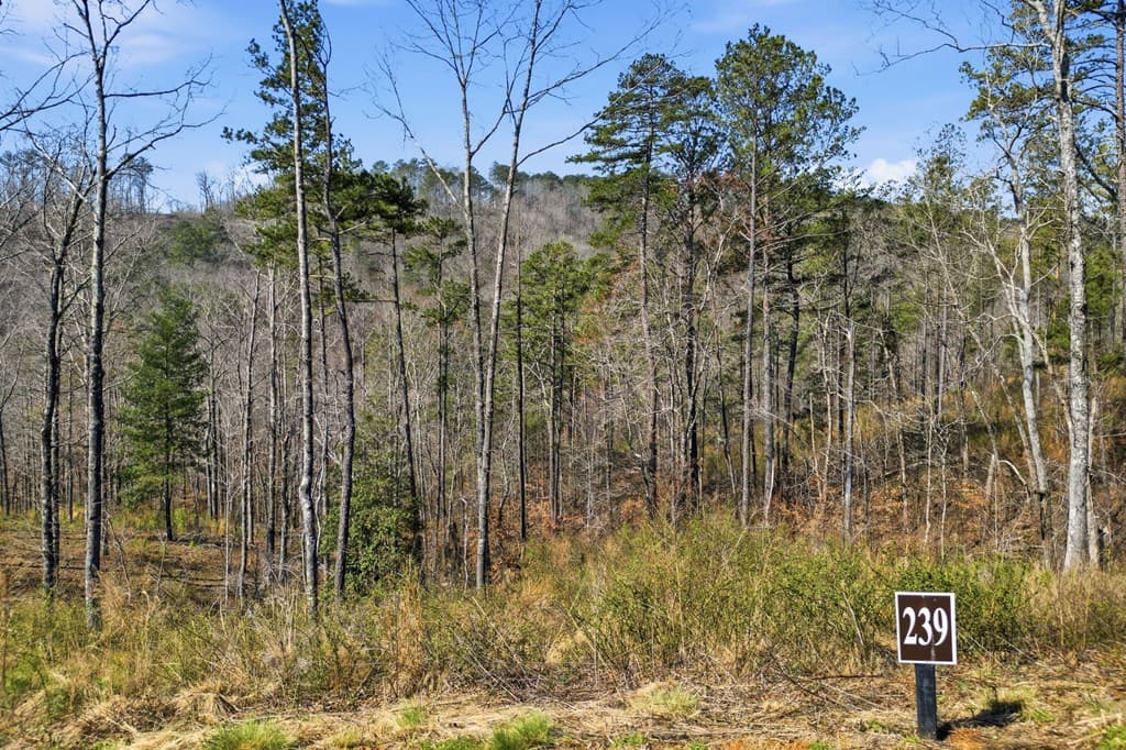 lot 239 Spear Point Dr, Talking Rock GA 30175 - Photo