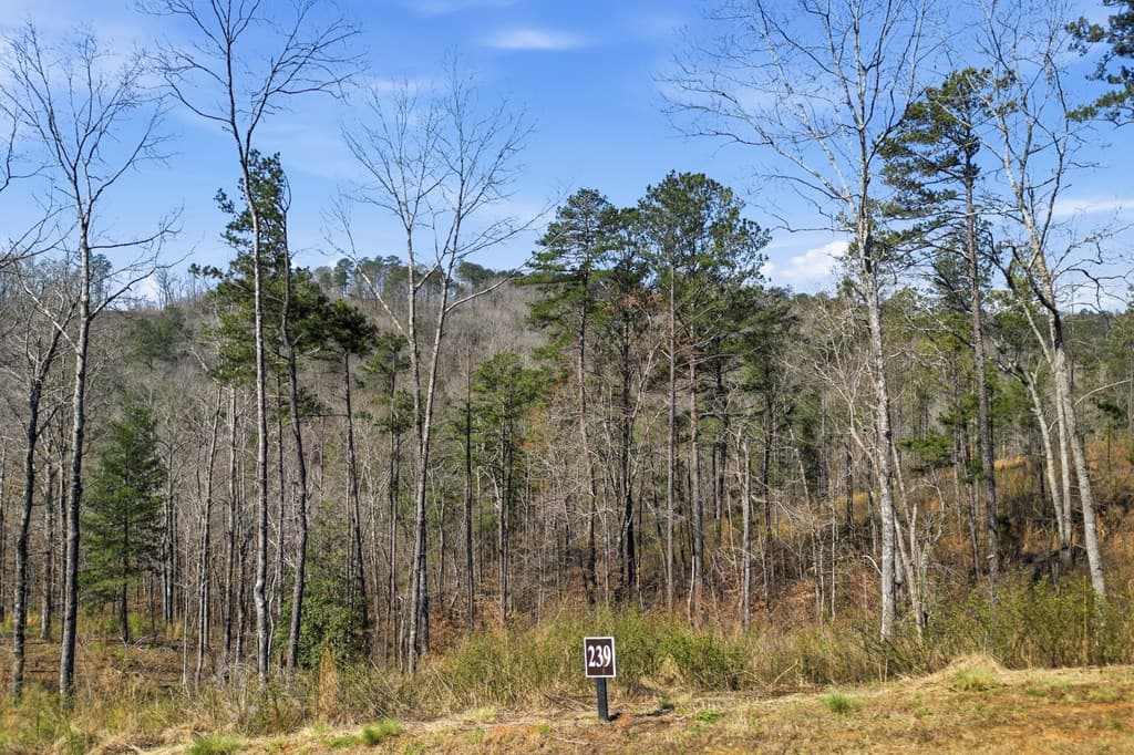 lot 239 Spear Point Dr, Talking Rock GA 30175 - Photo