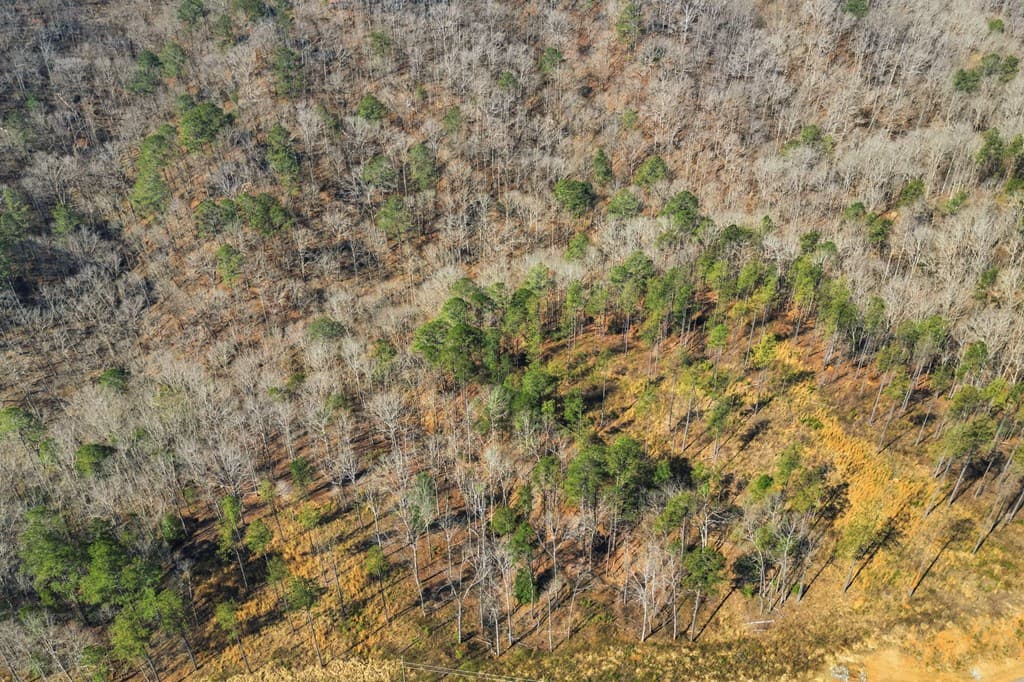 lot 239 Spear Point Dr, Talking Rock GA 30175 - Photo