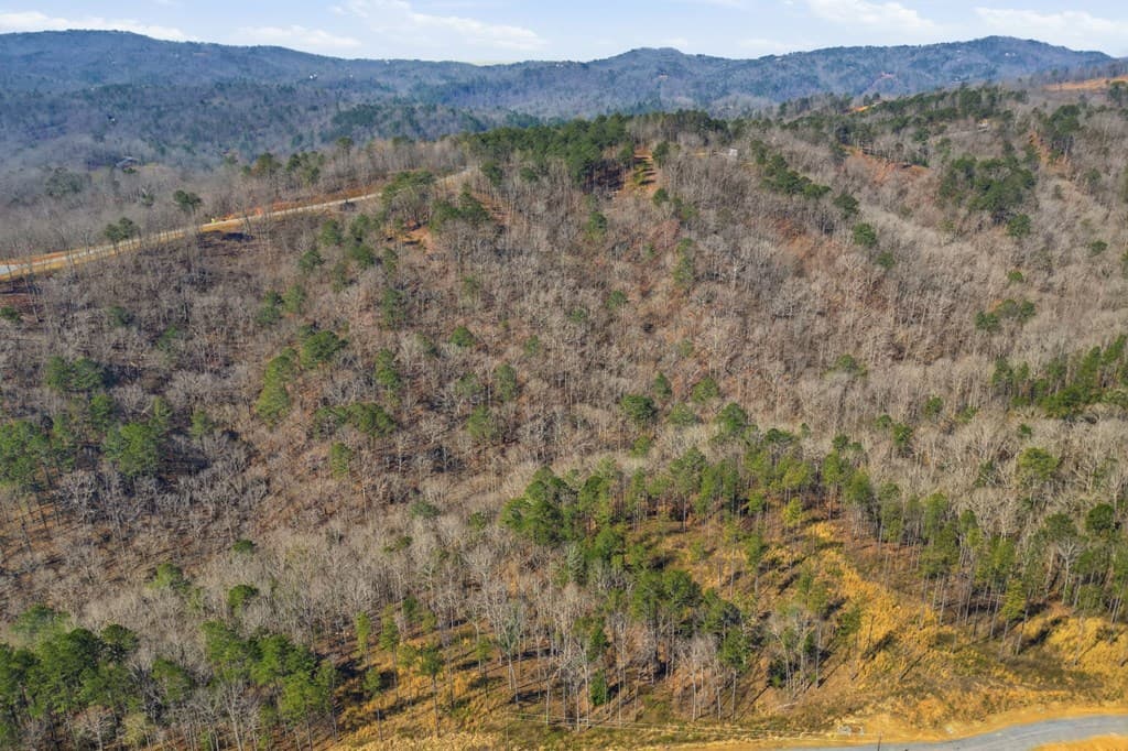 lot 239 Spear Point Dr, Talking Rock GA 30175 - Photo