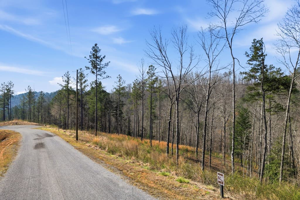 lot 239 Spear Point Dr, Talking Rock GA 30175 - Photo