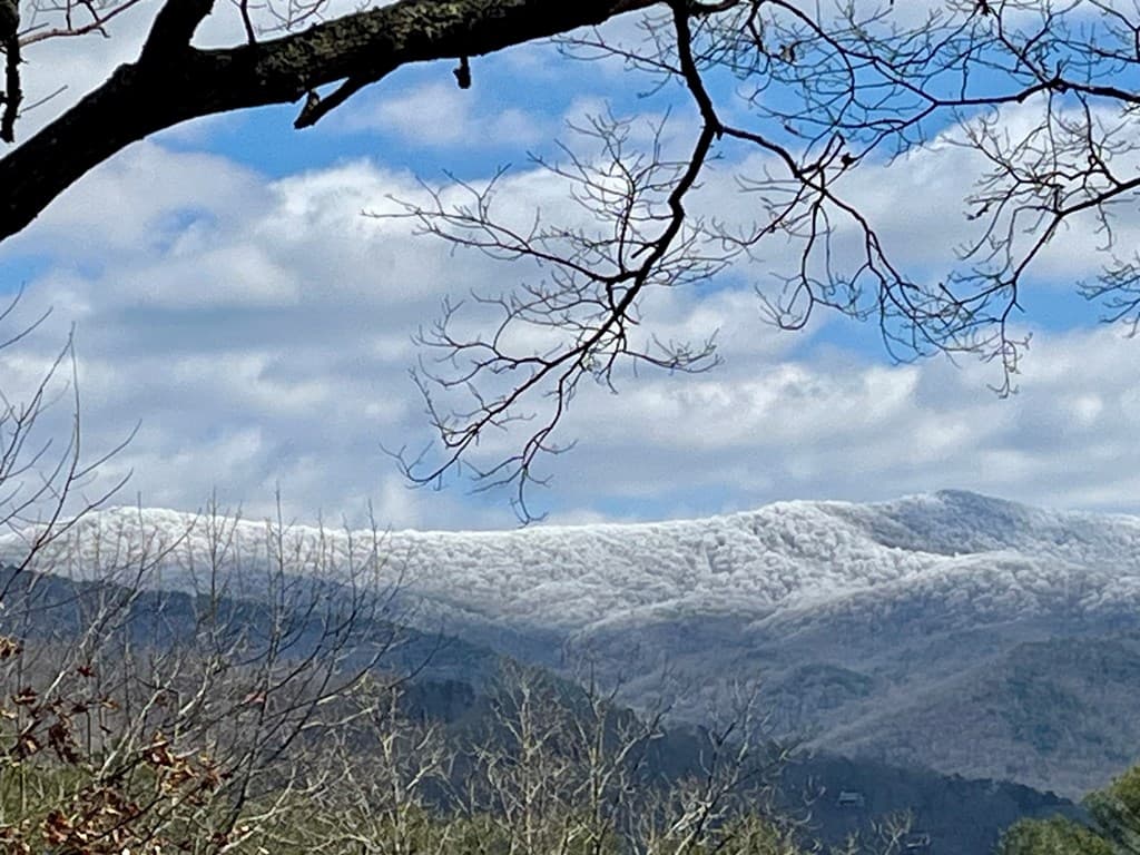 1183 Bear Paw Trail, Blue Ridge GA 30513 - Photo
