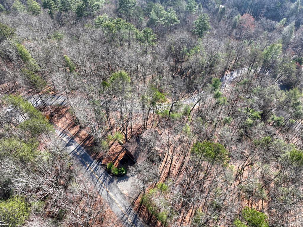 1183 Bear Paw Trail, Blue Ridge GA 30513 - Photo