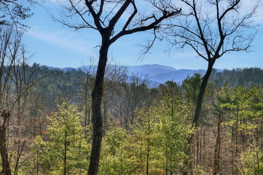 1183 Bear Paw Trail, Blue Ridge GA 30513 - Photo