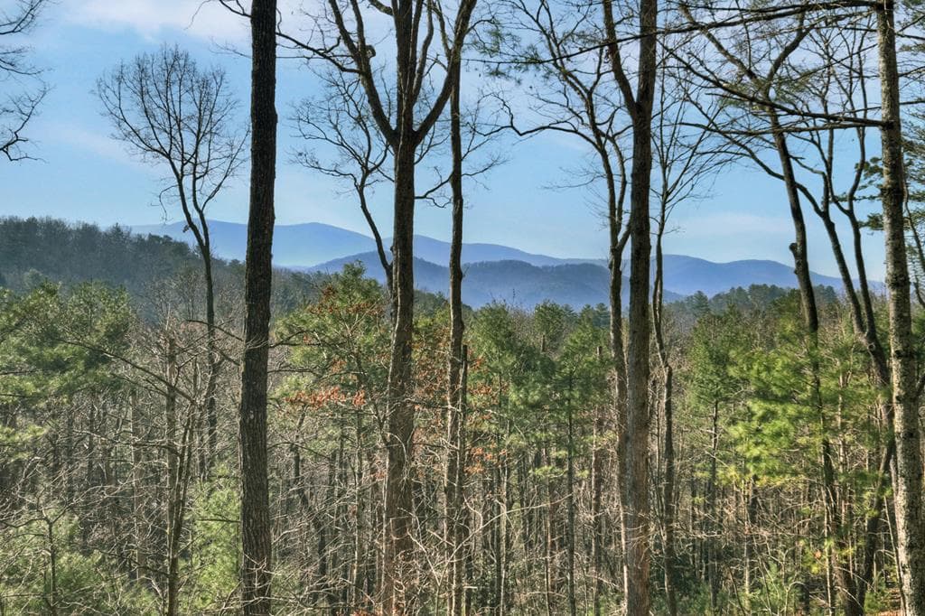 1183 Bear Paw Trail, Blue Ridge GA 30513 - Photo