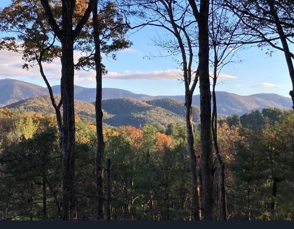 1183 Bear Paw Trail, Blue Ridge GA 30513 - Primary photo