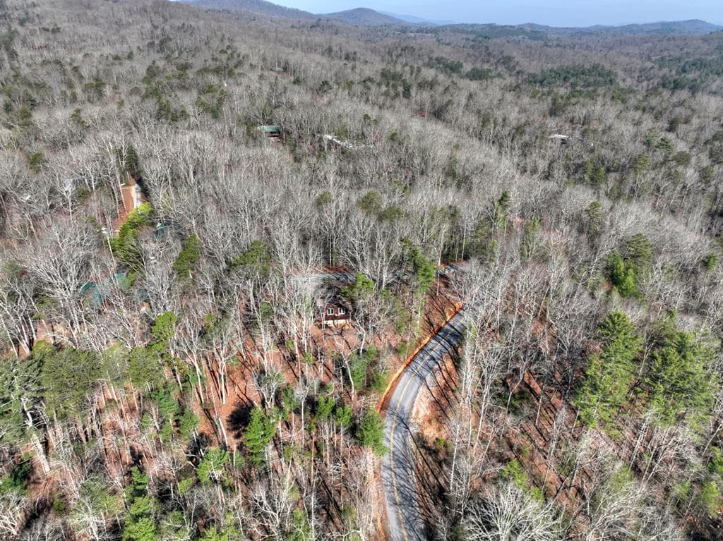 1183 Bear Paw Trail, Blue Ridge GA 30513 - Photo