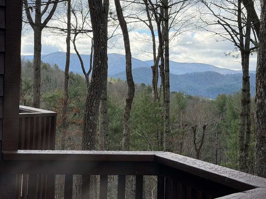 1183 Bear Paw Trail, Blue Ridge GA 30513 - Photo