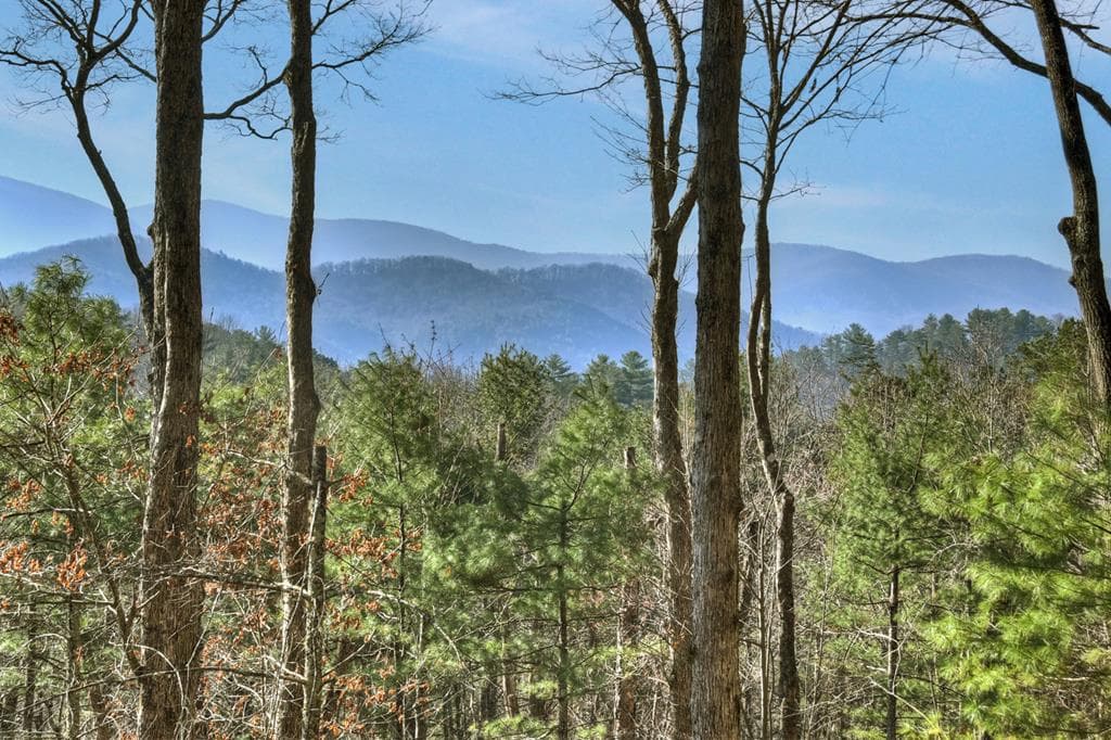 1183 Bear Paw Trail, Blue Ridge GA 30513 - Photo