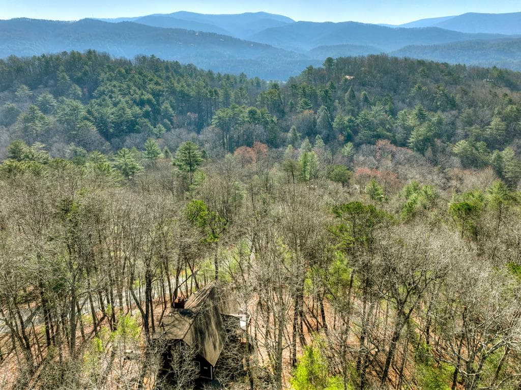 1183 Bear Paw Trail, Blue Ridge GA 30513 - Photo