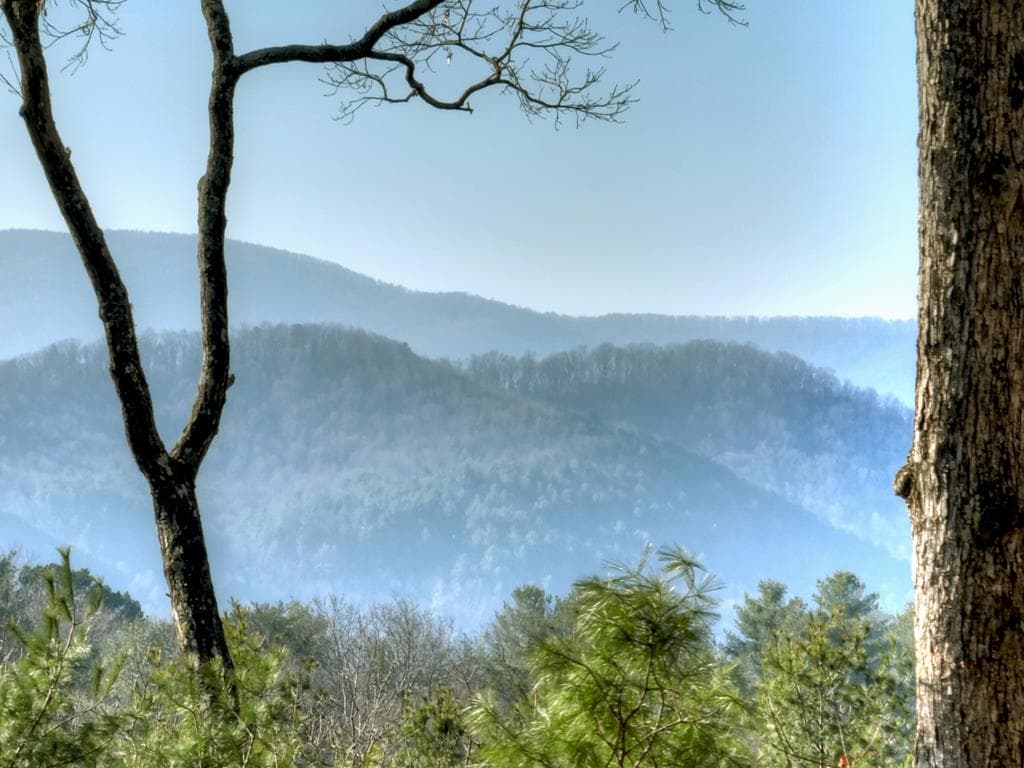 1183 Bear Paw Trail, Blue Ridge GA 30513 - Photo