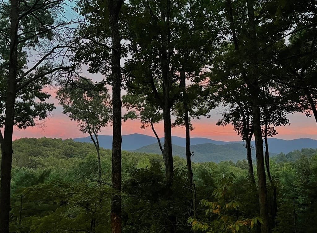 1183 Bear Paw Trail, Blue Ridge GA 30513 - Photo
