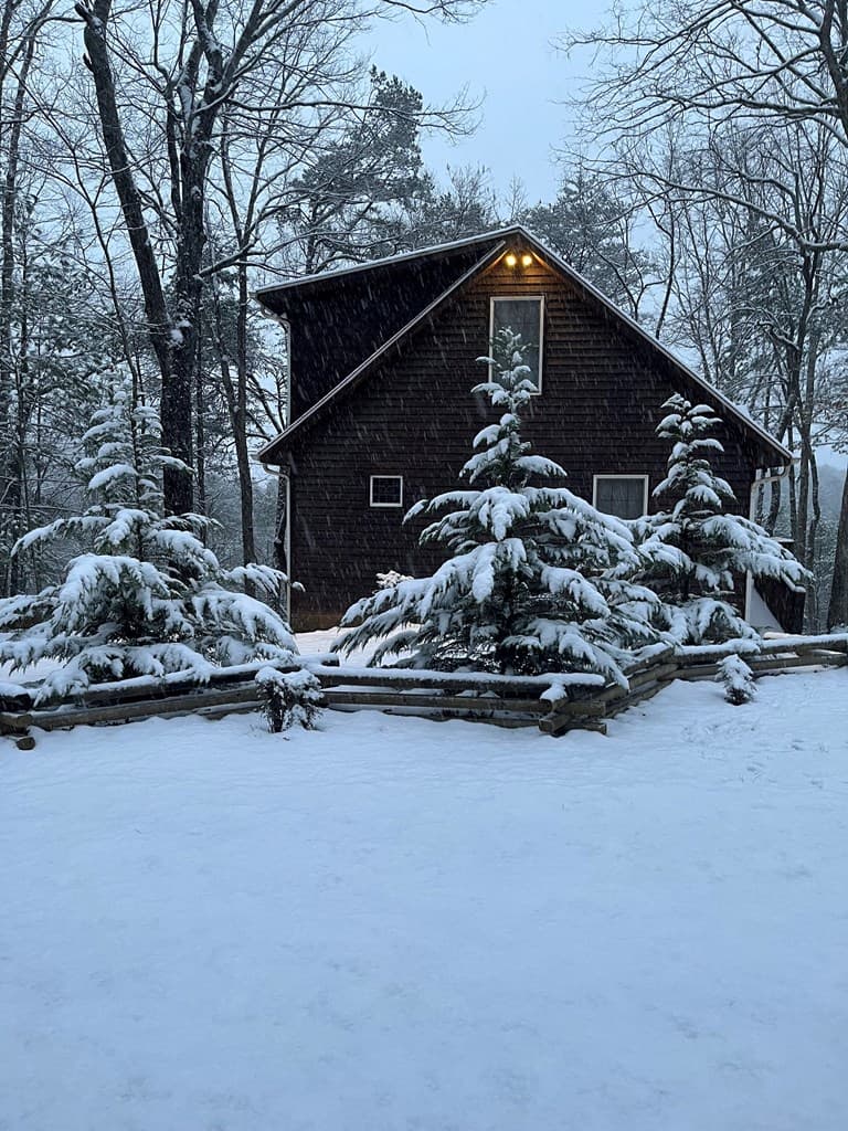 1183 Bear Paw Trail, Blue Ridge GA 30513 - Photo