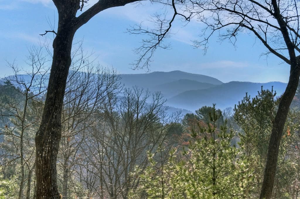 1183 Bear Paw Trail, Blue Ridge GA 30513 - Photo