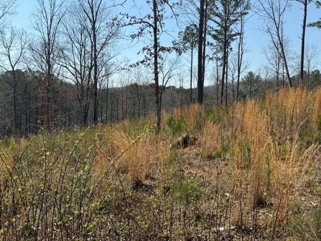 Lot 339 Timber Creek Trail, Talking Rock GA 30175 - Photo
