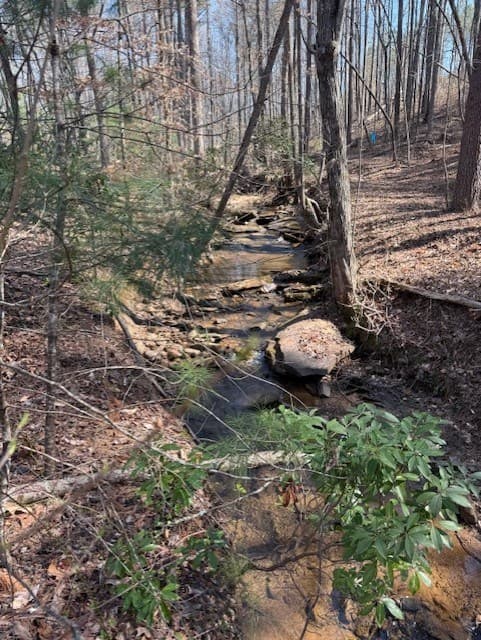 Lot 339 Timber Creek Trail, Talking Rock GA 30175 - Photo