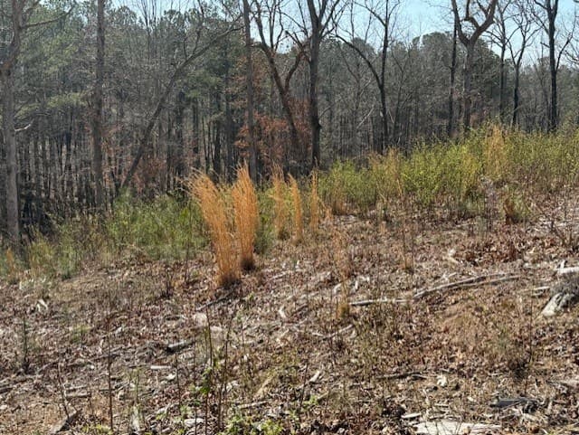Lot 339 Timber Creek Trail, Talking Rock GA 30175 - Photo
