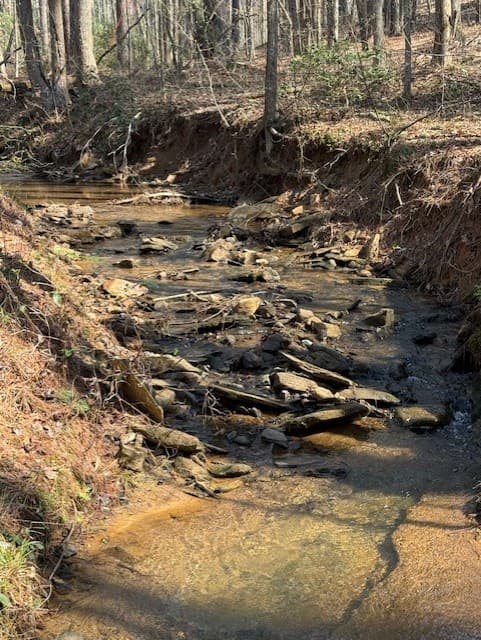 Lot 339 Timber Creek Trail, Talking Rock GA 30175 - Photo