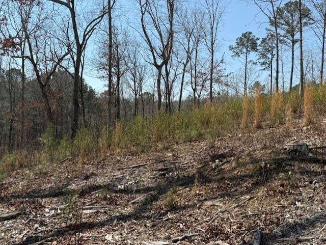 Lot 339 Timber Creek Trail, Talking Rock GA 30175 - Photo
